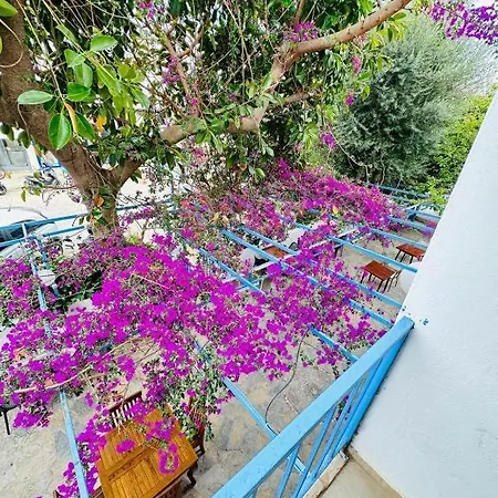 فندق مبيت وإفطار Thetis